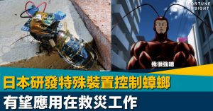 日本研發特殊裝置控制蟑螂 有望應用在救災工作