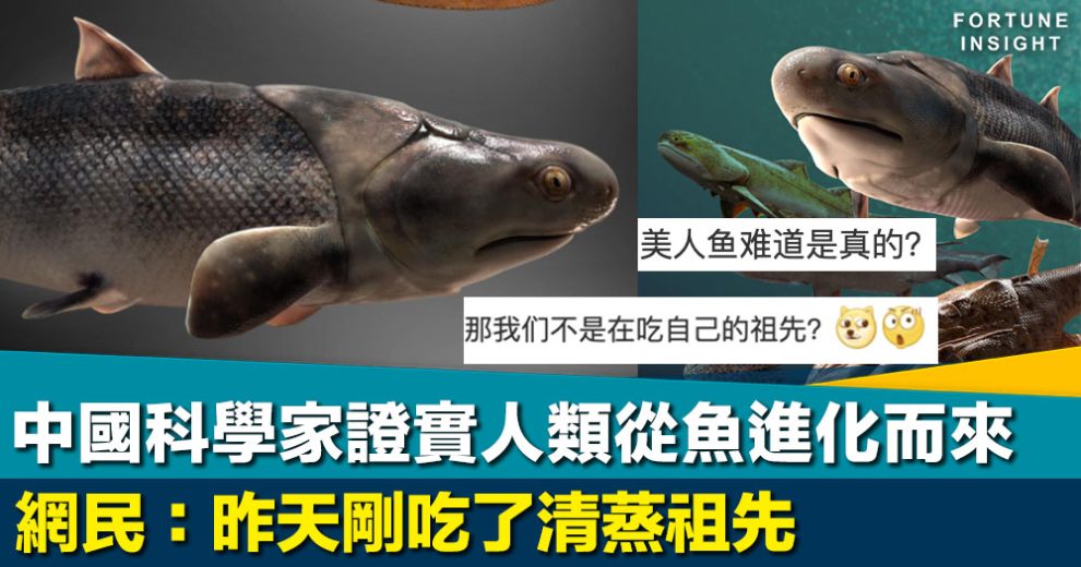 中國科學家證實人類從魚進化而來 網民：昨天剛吃了清蒸祖先